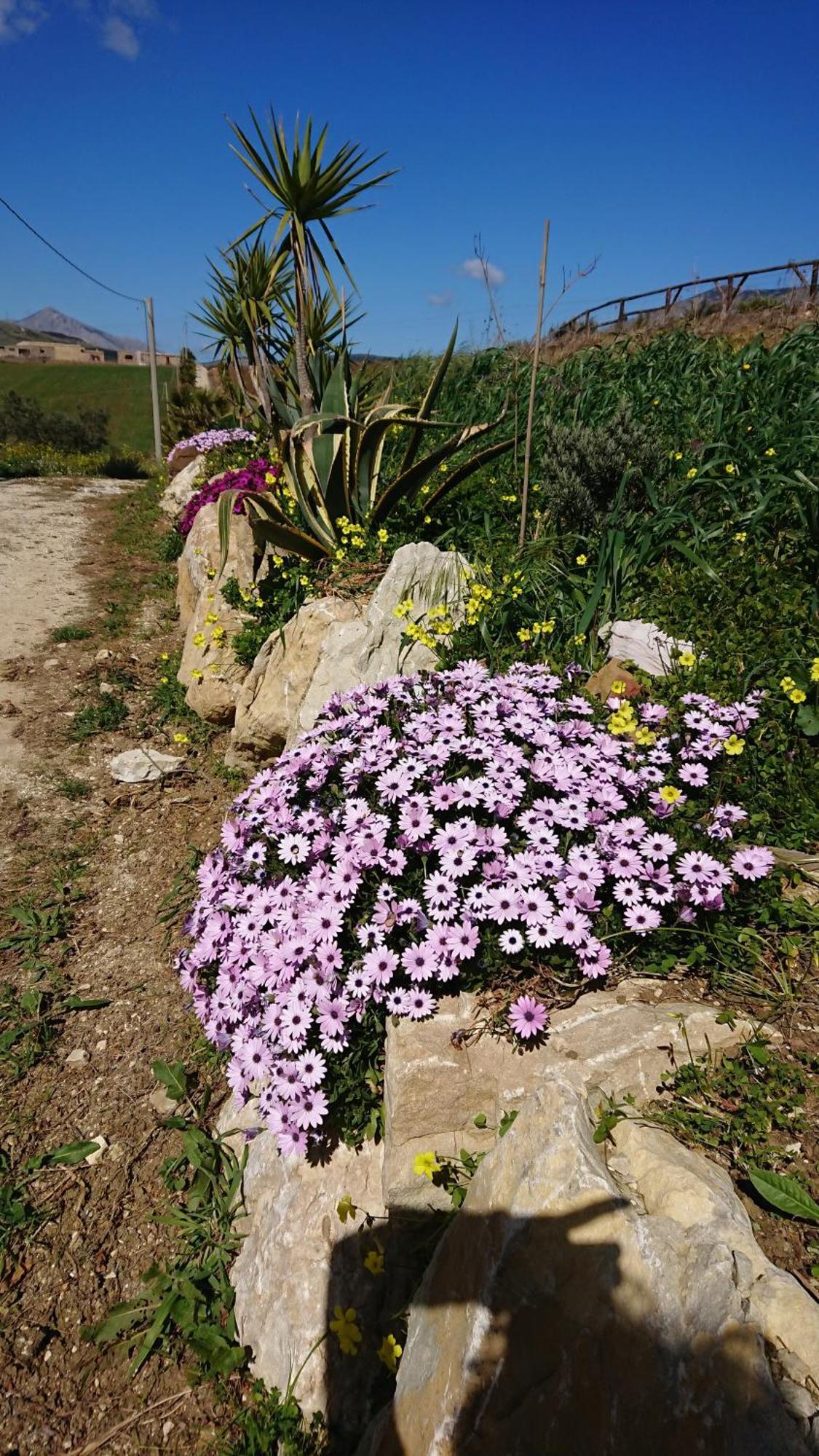 Helimos Bed&Breakfast Segesta Temple-Castellammare Calatafimi Exterior photo